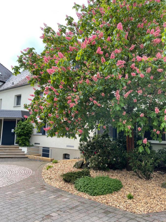 Hotel Luther Birke Wittenberg Bagian luar foto