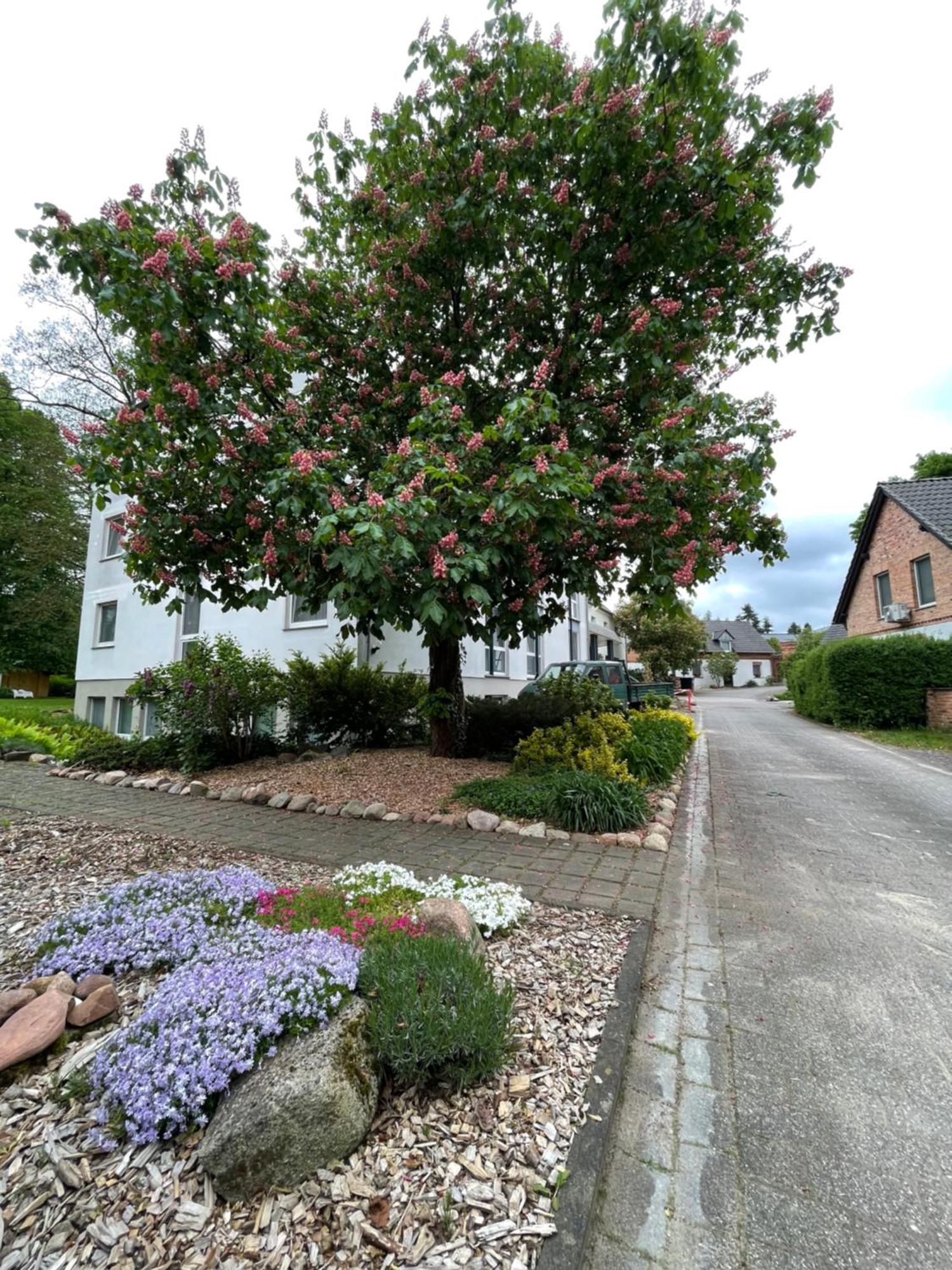 Hotel Luther Birke Wittenberg Bagian luar foto