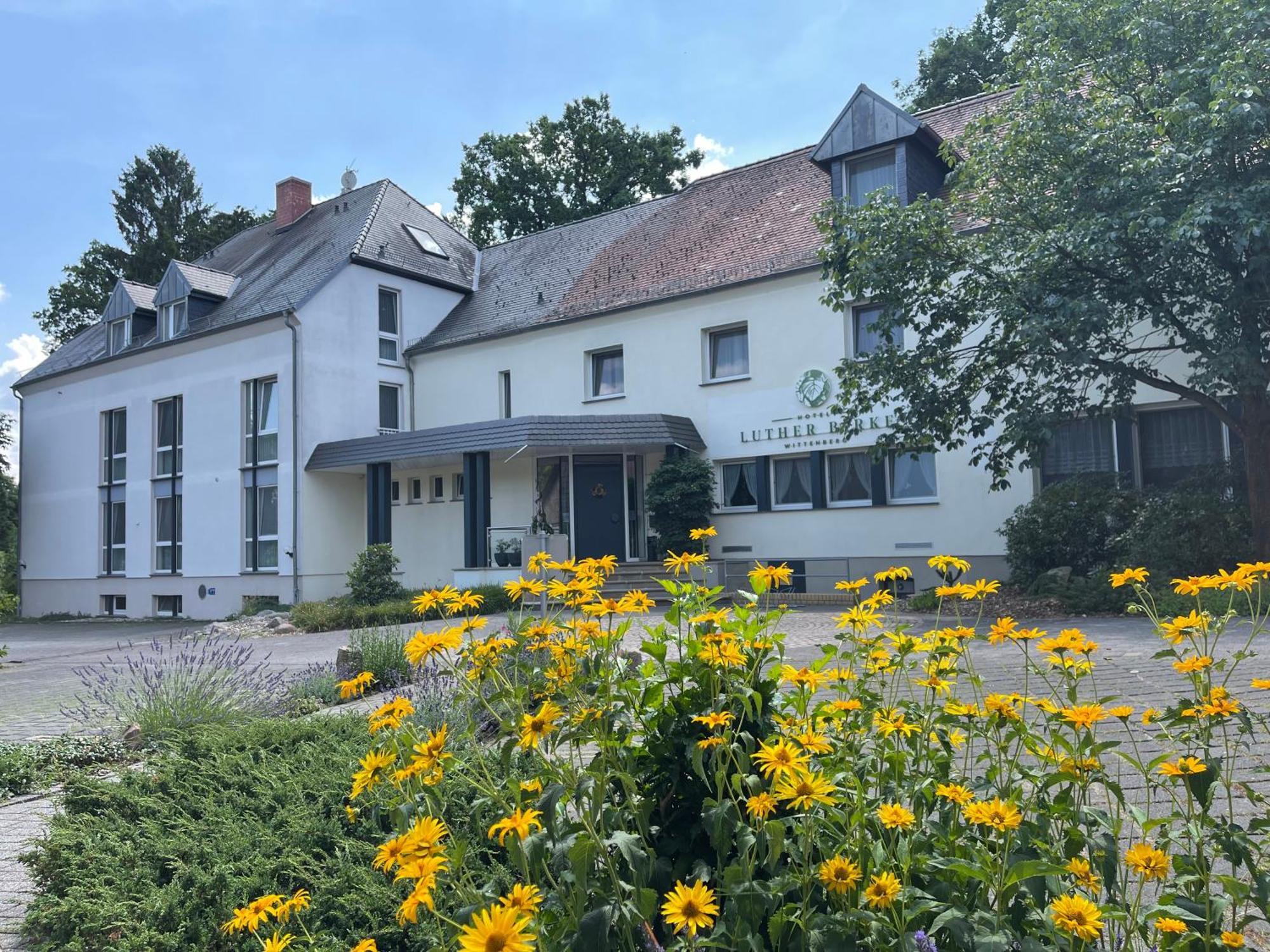 Hotel Luther Birke Wittenberg Bagian luar foto